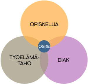 Kuvio, jossa selitetään OSKE-toiminta. Kuviossa on kolme palloa, joissa lukee opiskelija, työelämätaho ja Diak. Ne ovat limittäin toistensa päällä. Kolmen pallon keskellä on pienempi pallo, jossa lukee sana OSKE. OSKE ikään kuin yhdistää opiskelijan, työelämätahon ja Diakin keskenään.